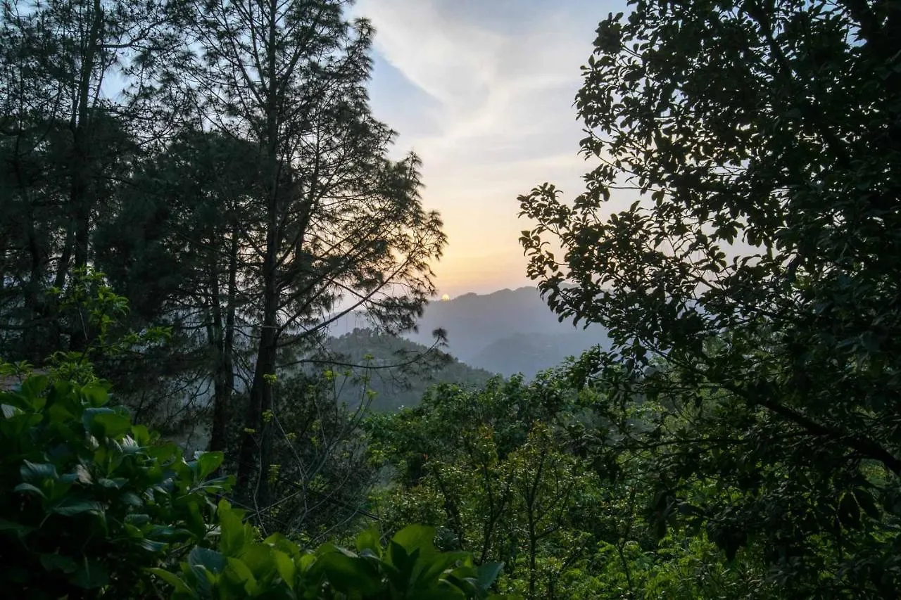 Saffronstays Ekam, Chail - Forest Villa Near Chail Cricket Ground Shimla India